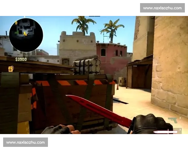 《CSGO私人比赛技巧与策略深度解析 提升游戏体验的必备指南》